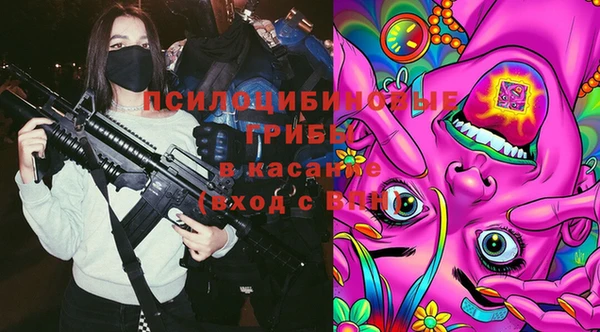 гашик Сафоново