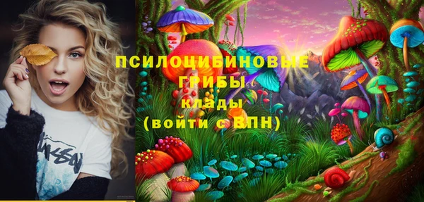 гашик Сафоново