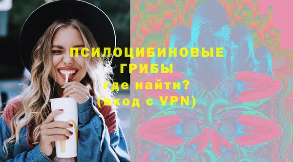 гашик Сафоново