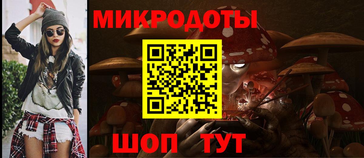 Галлюциногенные грибы Psilocybe Бутурлиновка